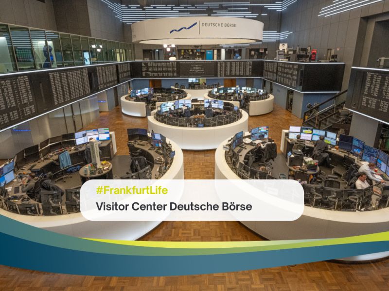 Frankfurt Main Finance (FMF)