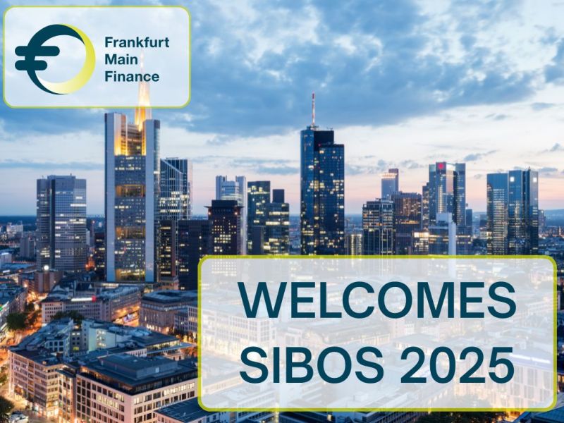 Frankfurt Main Finance (FMF)