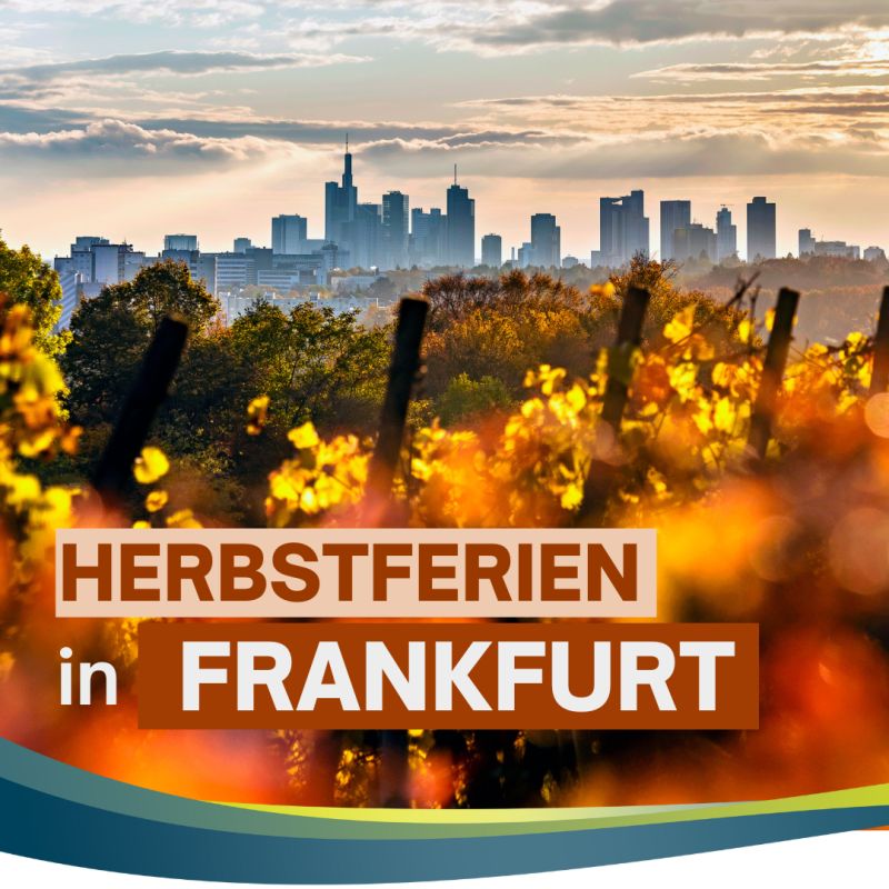 Frankfurt Main Finance (FMF)