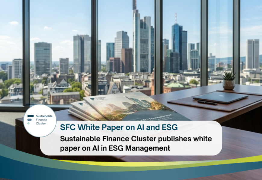 Frankfurt Main Finance (FMF)