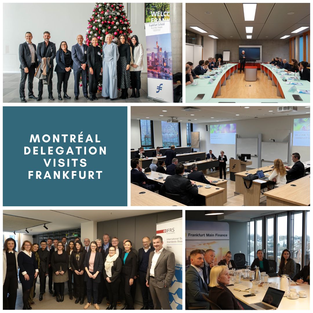 Frankfurt Main Finance (FMF)