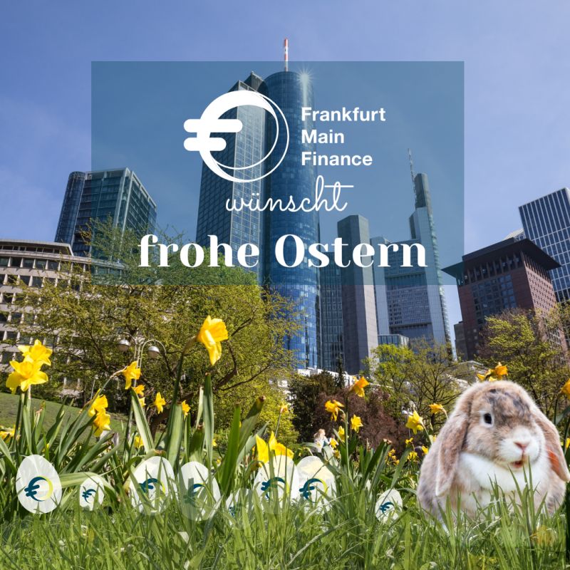 Frankfurt Main Finance (FMF)