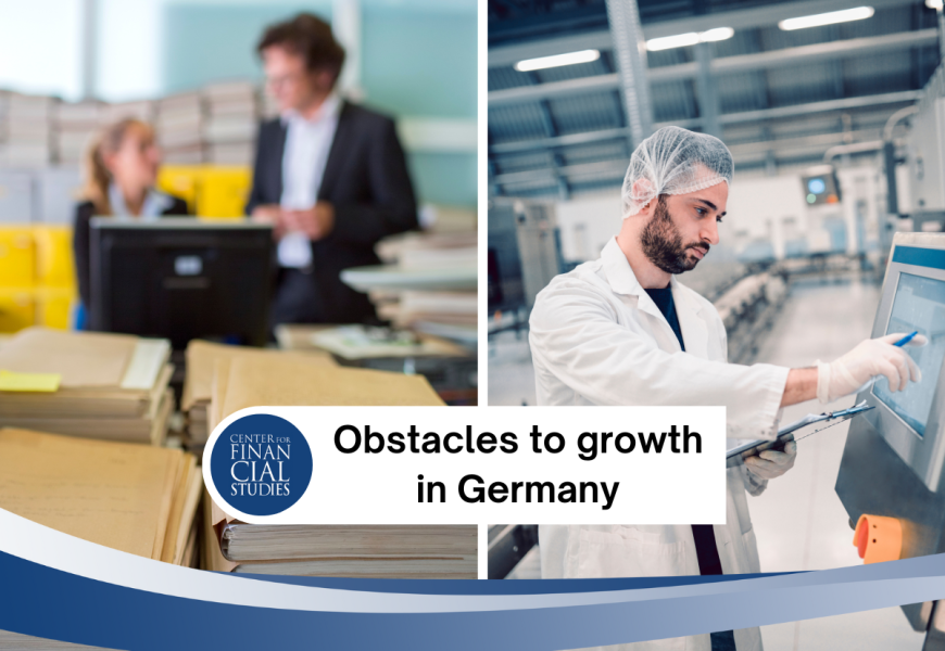 Frankfurt Main Finance (FMF)