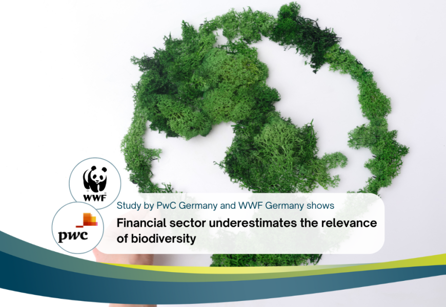 Frankfurt Main Finance (FMF)