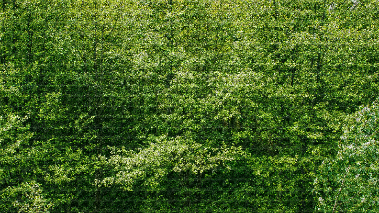 Stuttgart Financial (SF)