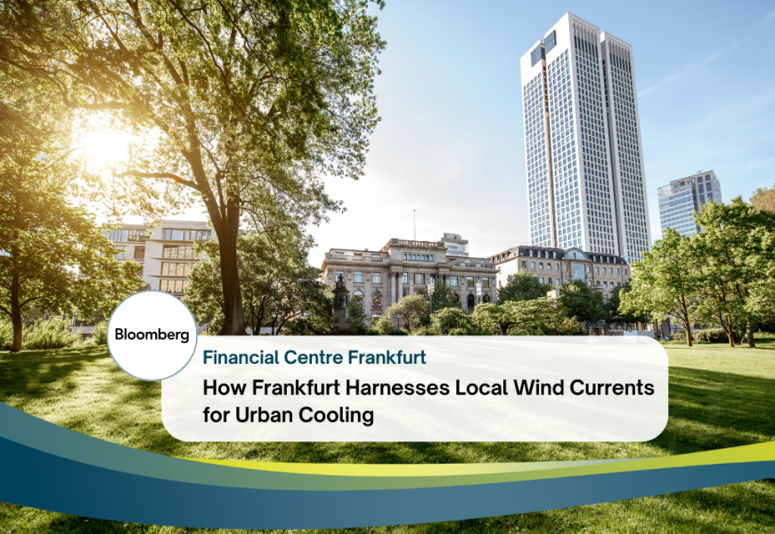 Frankfurt Main Finance (FMF)