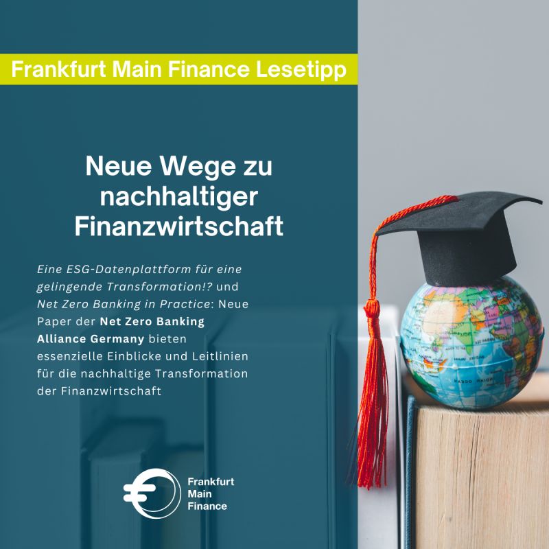 Frankfurt Main Finance (FMF)