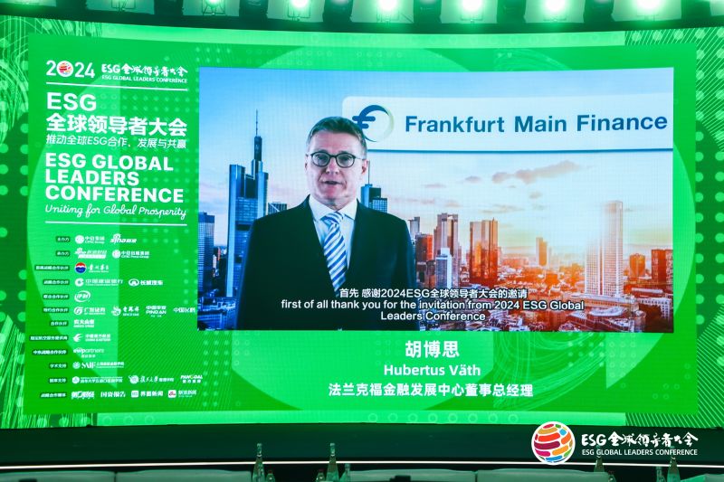 Frankfurt Main Finance (FMF)