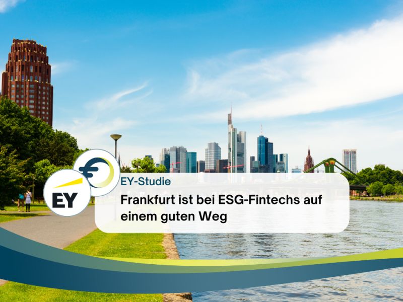 Frankfurt Main Finance (FMF)