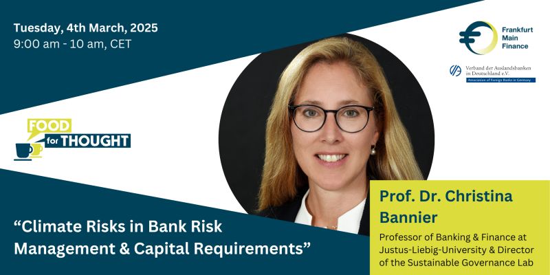 Frankfurt Main Finance (FMF)